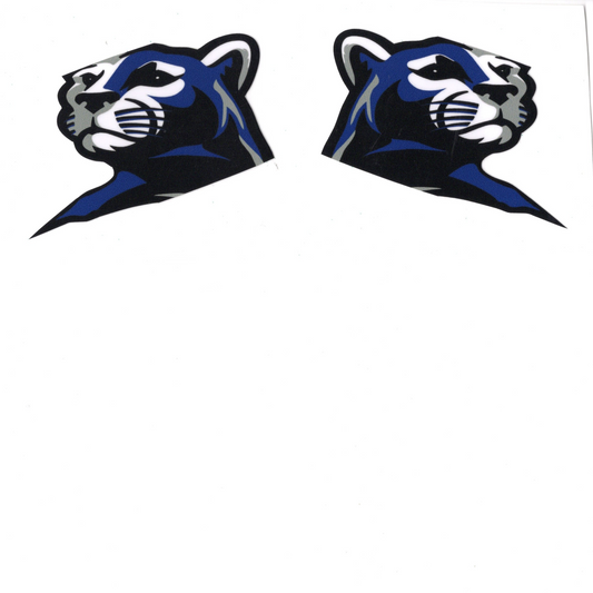 Rogers Otsego Youth Lacrosse Helmet Stickers